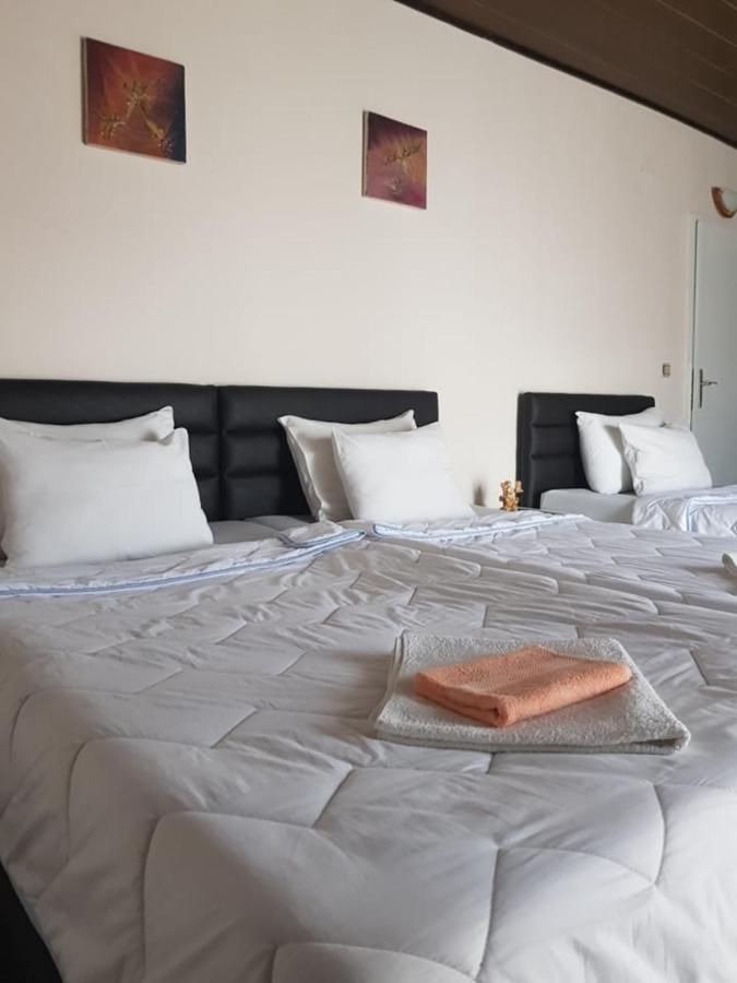 Villa Amsterdam Ohri Dış mekan fotoğraf