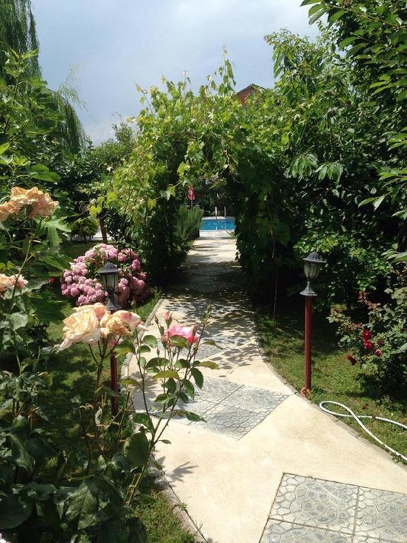Villa Amsterdam Ohri Dış mekan fotoğraf