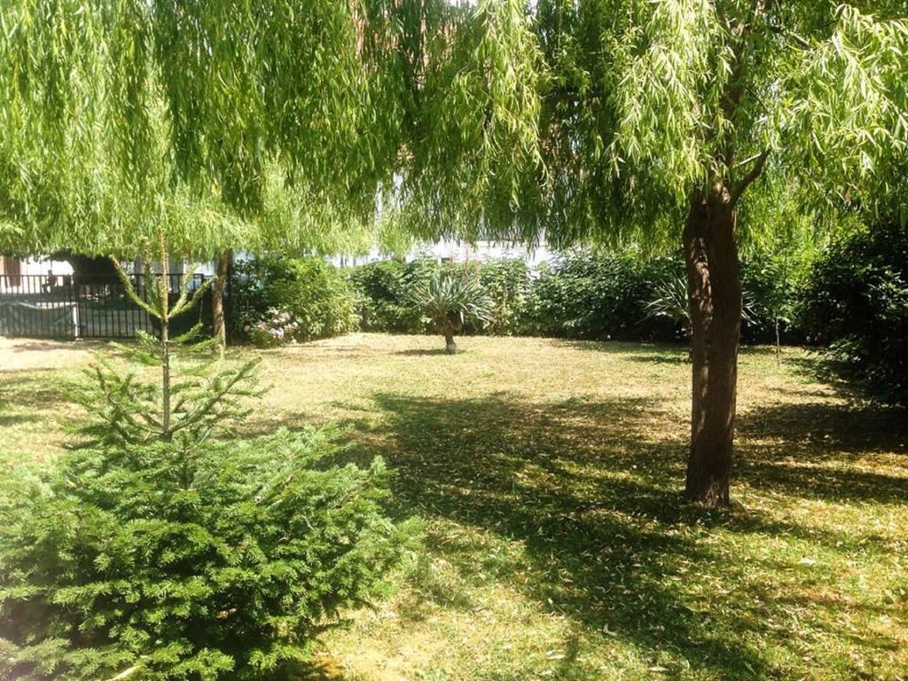 Villa Amsterdam Ohri Dış mekan fotoğraf