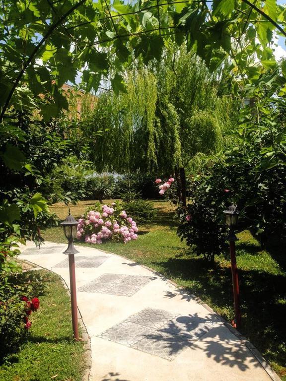 Villa Amsterdam Ohri Dış mekan fotoğraf