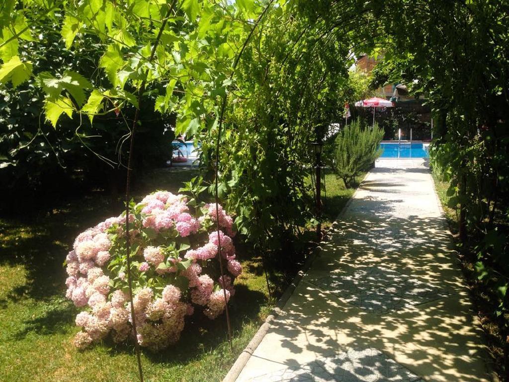 Villa Amsterdam Ohri Dış mekan fotoğraf