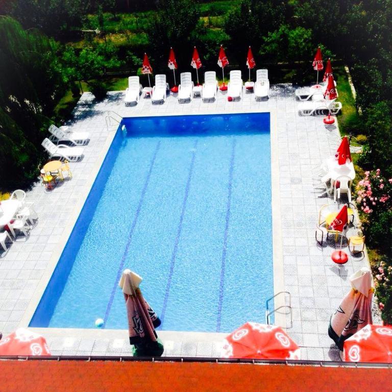 Villa Amsterdam Ohri Oda fotoğraf
